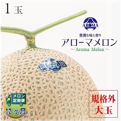 【毎月定期便】アローマメロン規格外大玉 1玉 全12回