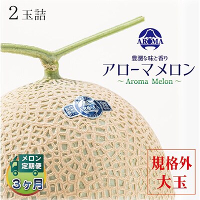 【毎月定期便】アローマメロン規格外大玉 2玉 全3回