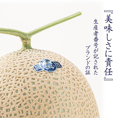 【毎月定期便】アローマメロン規格外大玉 2玉 全6回