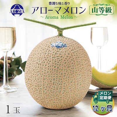 【毎月定期便】アローマメロン(山等級) 1玉 全12回