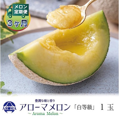 【毎月定期便】アローマメロン(白等級) 1玉 全3回