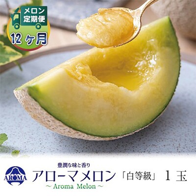 【毎月定期便】アローマメロン(白等級) 1玉 全12回