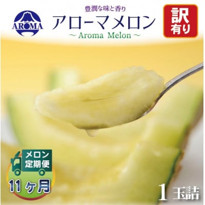 【毎月定期便】【訳あり】アローマメロン 1玉　全11回