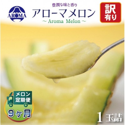 【毎月定期便】【訳あり】クラウンメロン 1玉　全9回
