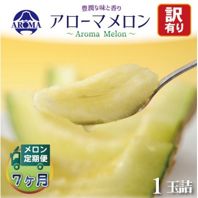 【毎月定期便】【訳あり】アローマメロン 1玉　全7回