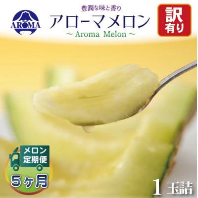 【毎月定期便】【訳あり】アローマメロン 1玉　全5回