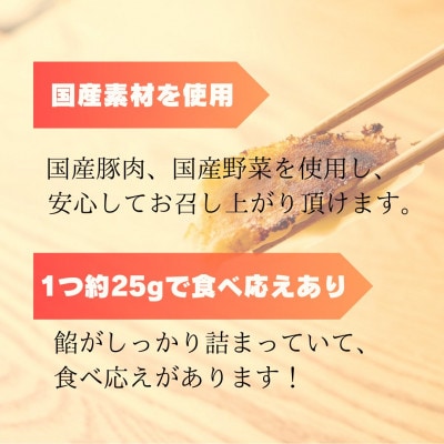 創業昭和五十三年　すすきの　冷凍にんにく生餃子　25g×11個　5パック　計55個【餃子のタレ付き】