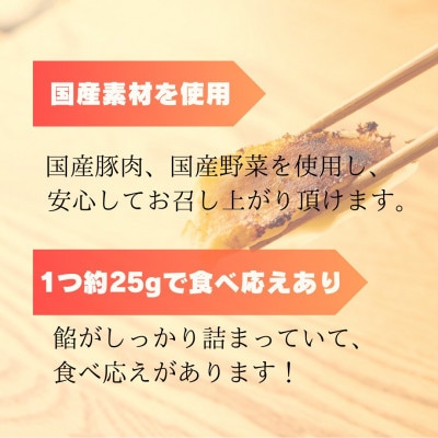【毎月定期便】すすきの　冷凍にんにく生餃子　25g×11個　2パック計22個【餃子のタレ付き】全3回