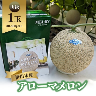静岡暗室マスクメロン アローマ印　　　　　山級約1.45kg以上　1玉