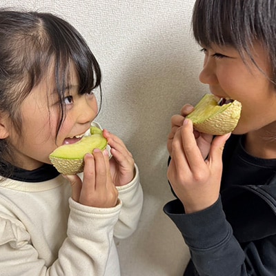 静岡暗室マスクメロン アローマ印　　　　　山級約1.45kg以上　1玉