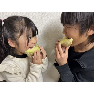 静岡暗室マスクメロン アローマ印　　　　　大玉サイズ白級1.8kg以上　2玉