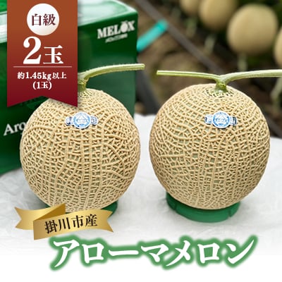 静岡暗室マスクメロン アローマ印　　　　　白級約1.45kg以上　2玉