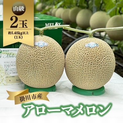静岡暗室マスクメロン アローマ印　　　　　山級約1.45kg以上　2玉