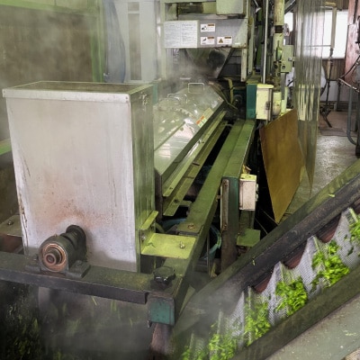 【産地直送】お茶農家が普段使いで飲むお茶　静岡県掛川市産100%　100g×11袋　合計1.1kg