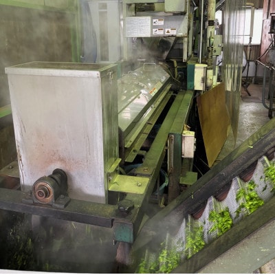 畑仕事から茶仕上げまで一貫造り　香味満々茶　茶草場農法　深蒸し掛川茶(100g×5袋)ギフト箱入1個