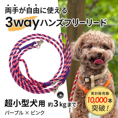 【犬用リード】3WAYハンズフリーリード(超小型犬用)パープル×ピンク【ゴールデンママ】