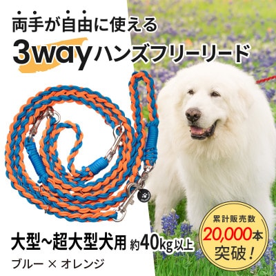【犬用】3WAYハンズフリーリード(大型～超大型犬用)ブルー×オレンジ【ゴールデンママ】