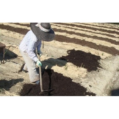 掛川の小さな茶農家直送　農業遺産茶草場実践工場　 深蒸し掛川茶『うぐいす』80g×5袋