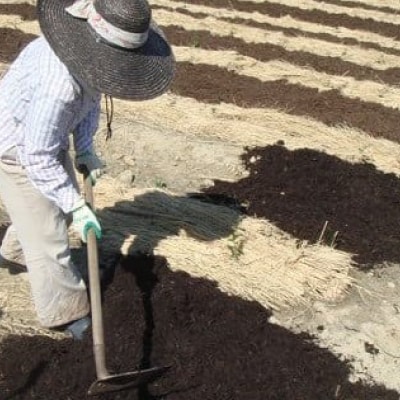 掛川の小さな茶農家直送 農業遺産茶草場実践工場 深蒸し掛川茶「うぐいす」 200g×2