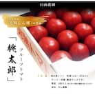 【特選】トマト美味しんぼに登場した『桃太郎』12～20玉 ランク:特選　糖度9度以上