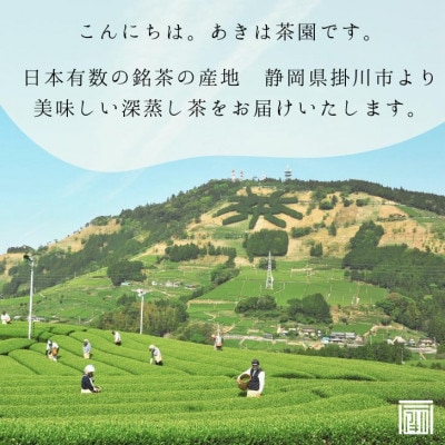 最高級煎茶「東山」100g×3袋セット 2025年度産
