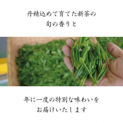 2026年度産 新茶 最上級煎茶「金扇」100g×3袋セット