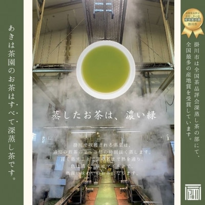2026年度産 新茶 最高級煎茶「東山」100g×3袋セット
