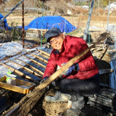 掛川特産　倉真自然薯(くらみじねんじょ)約1kg　数量限定(11月中旬～1月初旬出荷)ハラダファーム