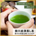 新茶 掛川市奨励品種さえみどり50g×2本 日本茶AWARD受賞茶園のお茶 静岡県掛川市 茶農家直送