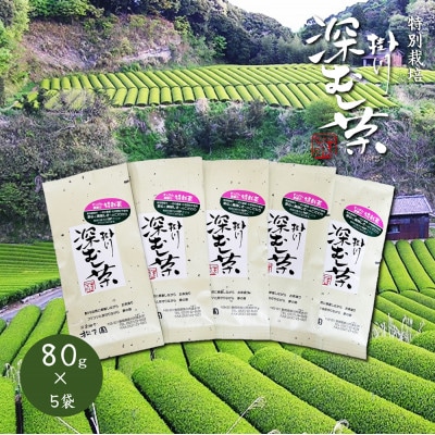 特別栽培-掛川深蒸し茶　80g×5袋セット