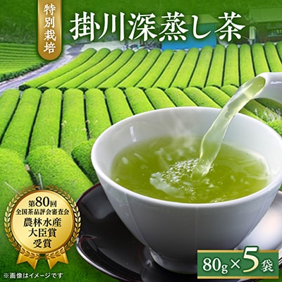 特別栽培-掛川深蒸し茶　80g×5袋セット