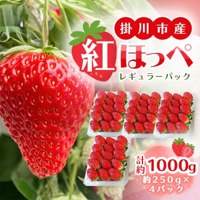 【2025年11月下旬出荷開始】総重量約1000g　掛川市産・紅ほっぺ レギュラーパック 4パック入
