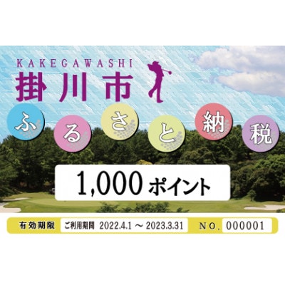 静岡よみうりカントリークラブ ゴルフ・プレー補助券　30,000ポイント分