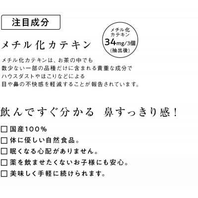 べにふうき緑茶ティーバッグ 2袋　日本茶きみくら【5897】
