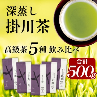 高級茶5種 飲み比べセット 計500g  深蒸し掛川茶 日本茶きみくら【5899】
