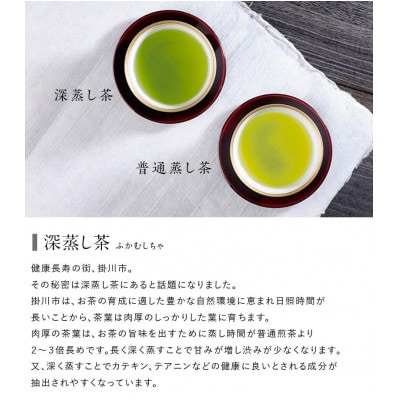 高級茶5種 飲み比べセット 計500g  深蒸し掛川茶 日本茶きみくら【5899】