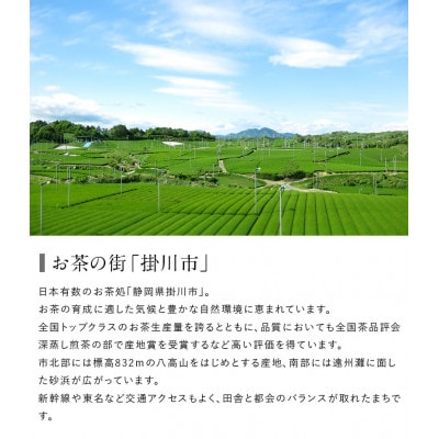 金印一番茶 3袋 合計540g　深蒸し掛川茶ブレンド 日本茶きみくら【5892】