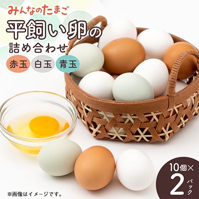 みんなのたまご　赤玉、白玉、青玉、三色の卵の詰め合わせ