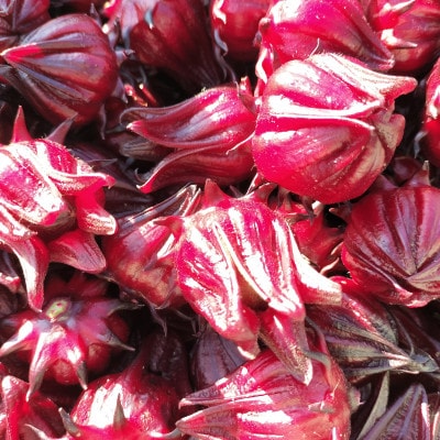 静岡県掛川市産　ハイビスカスローゼル　約400g