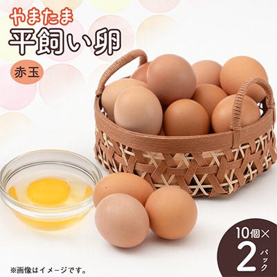 みんなのたまご　赤玉　10個×2パック | ふるさと納税のお礼品