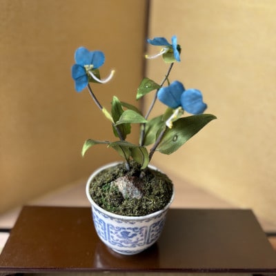 【夏　つゆ草】四季を彩る創作草もの盆栽(工芸品)～工房椿