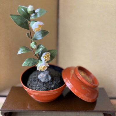 【茶の花】四季を彩る創作草もの盆栽(工芸品)～工房椿