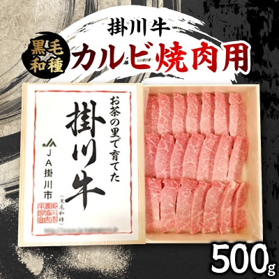 掛川牛(黒毛和種)カルビ焼肉用 500g(冷凍)