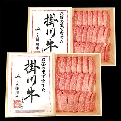 掛川牛(黒毛和種)カルビ焼肉用 500g×2(冷凍)
