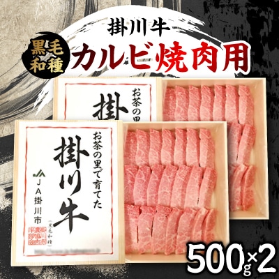 掛川牛(黒毛和種)カルビ焼肉用 500g×2(冷凍)