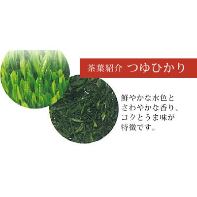 深蒸し煎茶 天葉 3袋セット