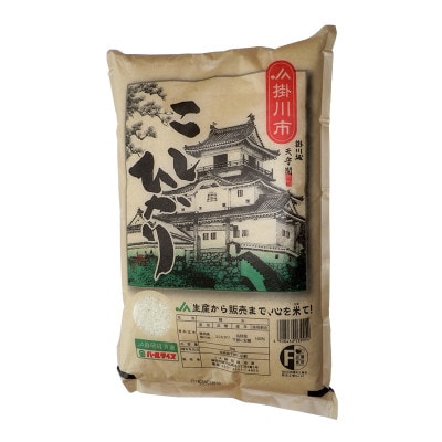 掛川産こしひかり 精米 5kg