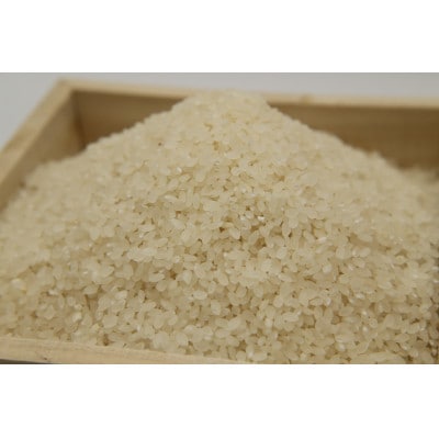 掛川産こしひかり 精米 5kg