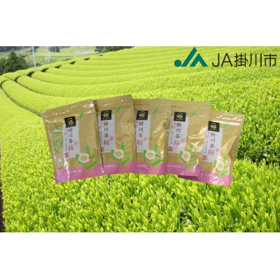 掛川茶ティーバッグ桜　5袋セット(1袋20個入)