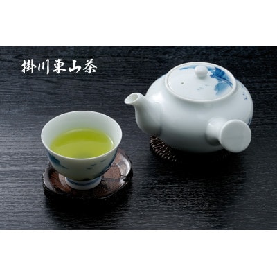 掛川東山茶「ききょう」茶葉　5g×50袋